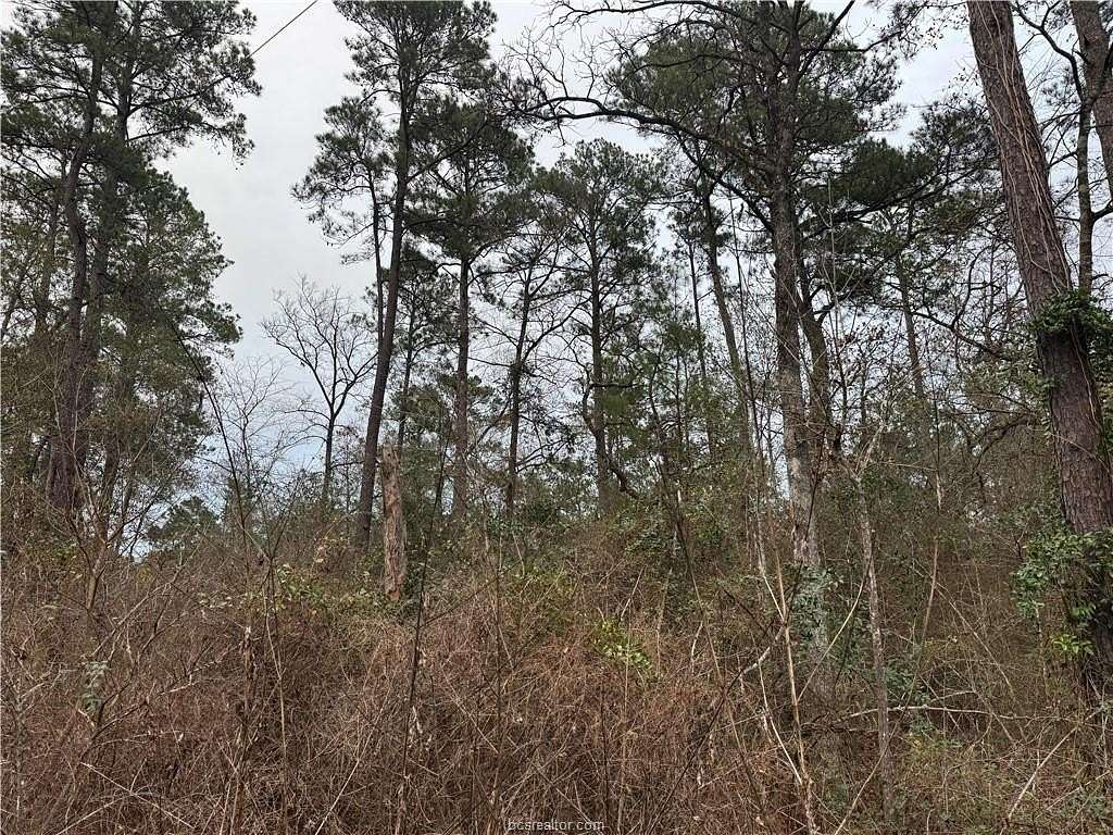 0.26 Acres of Residential Land for Sale in Plantersville, Texas