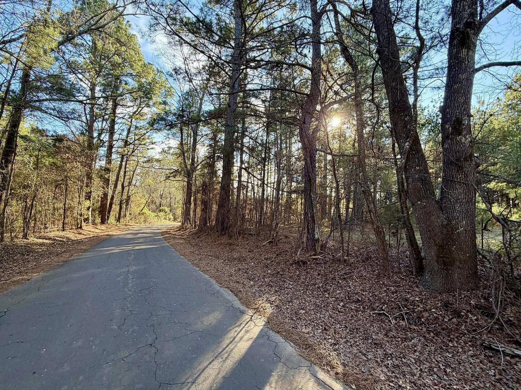 12.2 Acres of Recreational Land for Sale in Marshall, Texas