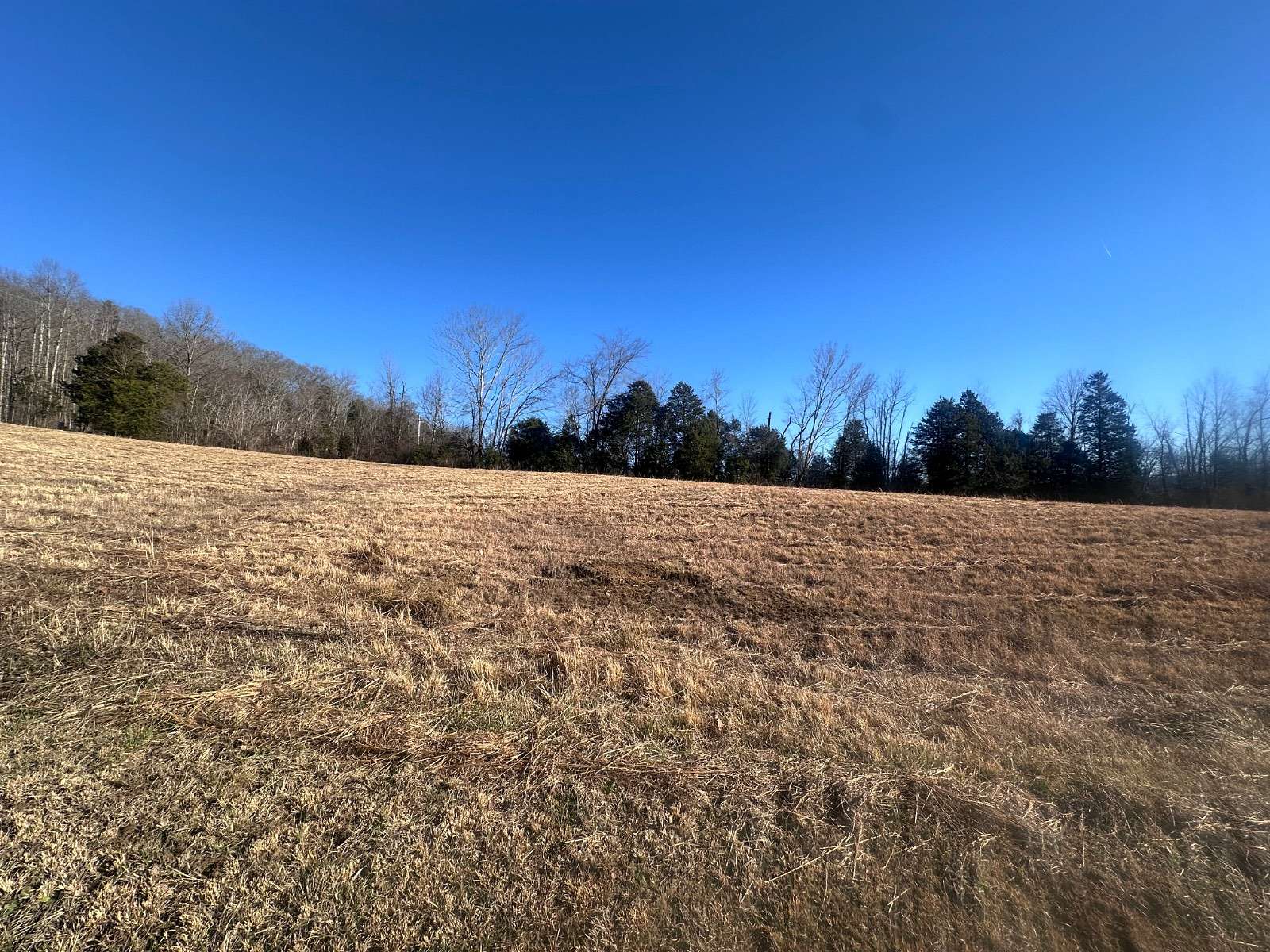 1 Acre of Residential Land for Sale in Burkesville, Kentucky
