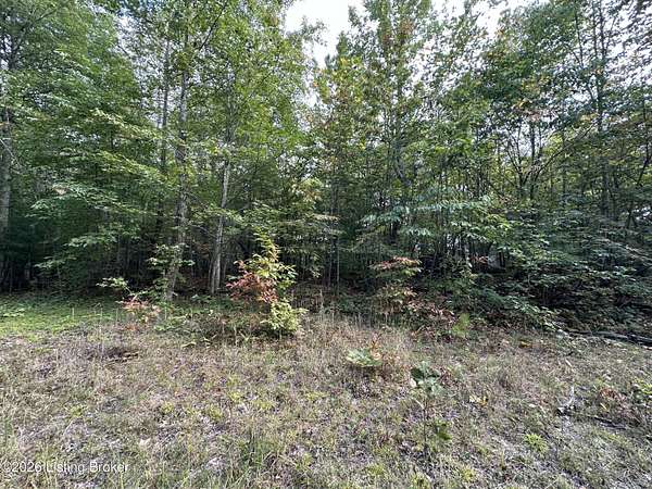 3.5 Acres of Residential Land for Sale in Nancy, Kentucky