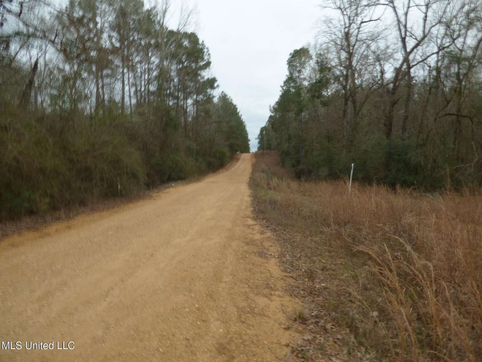 2.63 Acres of Residential Land for Sale in Magnolia, Mississippi