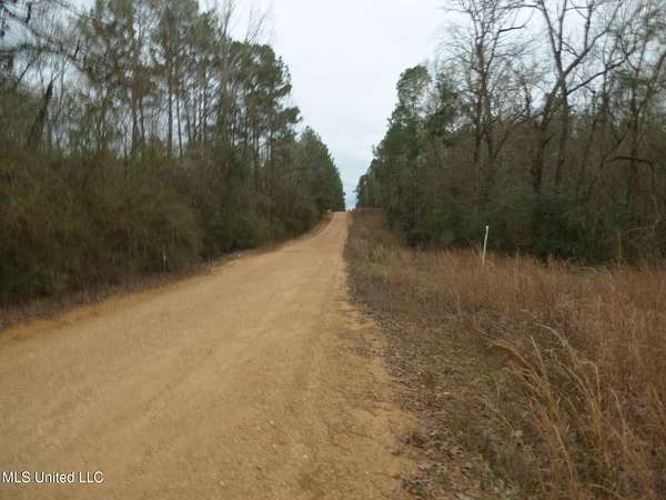 2.63 Acres of Residential Land for Sale in Magnolia, Mississippi