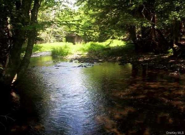 37 Acres of Recreational Land for Sale in Hurleyville, New York