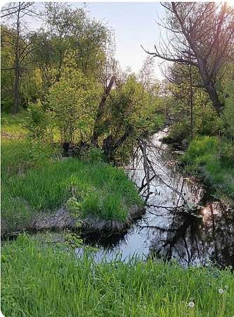 10.4 Acres of Recreational Land for Sale in Montello, Wisconsin