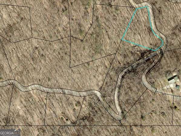 1 Acre of Land for Sale in Morganton, Georgia