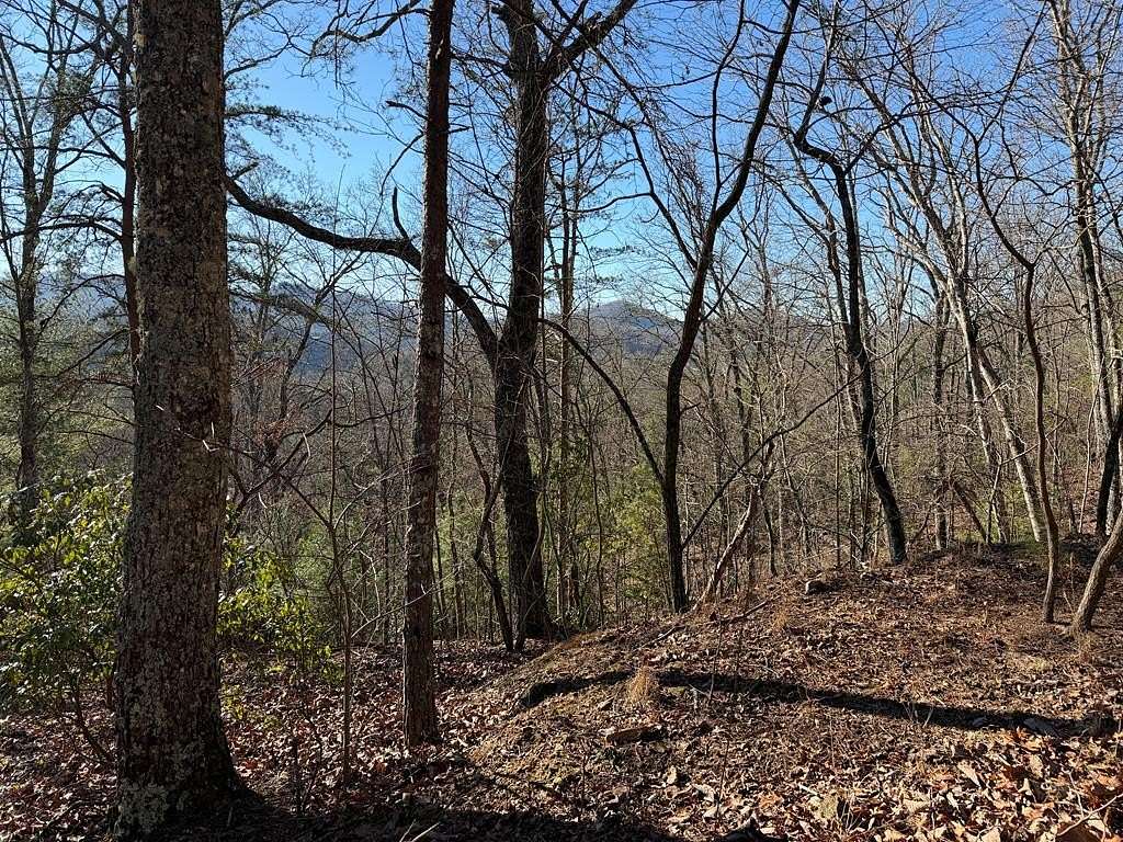 29 Acres of Recreational Land for Sale in Hayesville, North Carolina