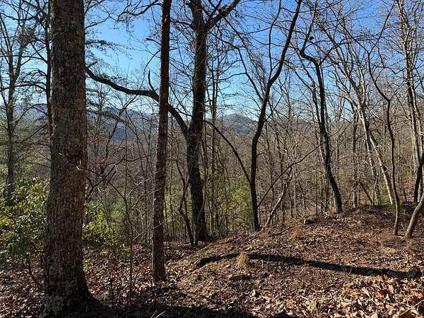 29 Acres of Recreational Land for Sale in Hayesville, North Carolina