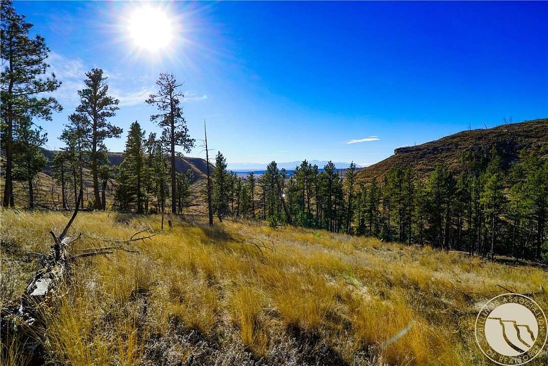20 Acres of Recreational Land for Sale in Reed Point, Montana