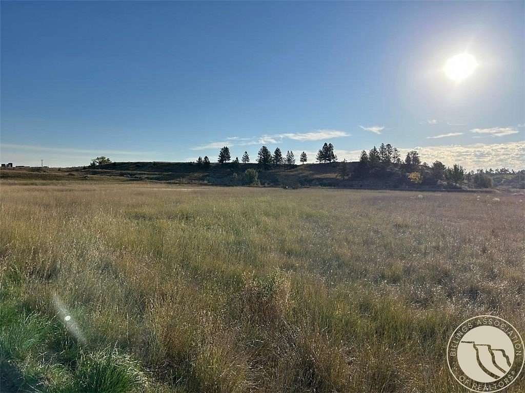 32.6 Acres of Agricultural Land for Sale in Roundup, Montana