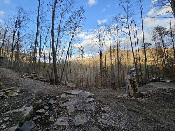 6.63 Acres of Residential Land for Sale in Wilder, Tennessee