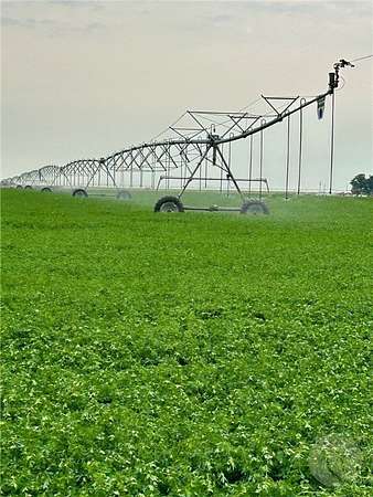 425 Acres of Agricultural Land for Sale in Fort Shaw, Montana