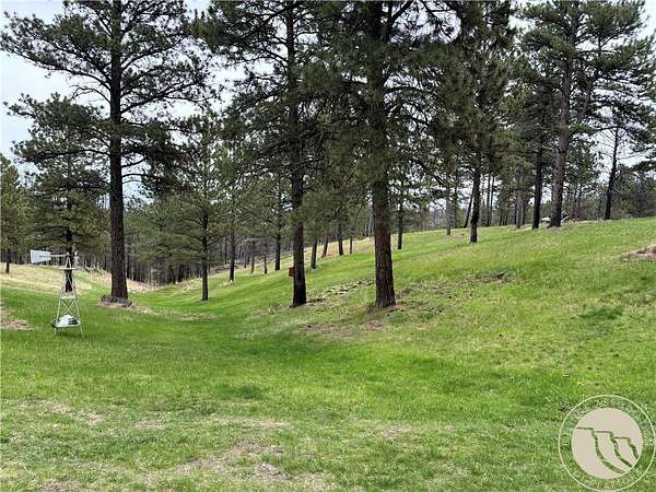 20 Acres of Recreational Land for Sale in Roundup, Montana