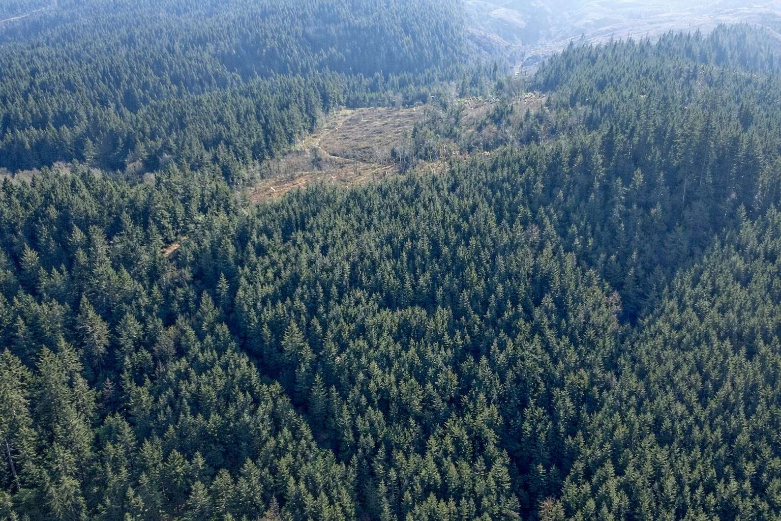 40 Acres of Recreational Land for Sale in Crow, Oregon