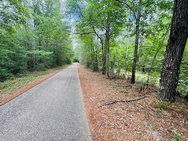 45.9 Acres of Land for Sale in Tylertown, Mississippi