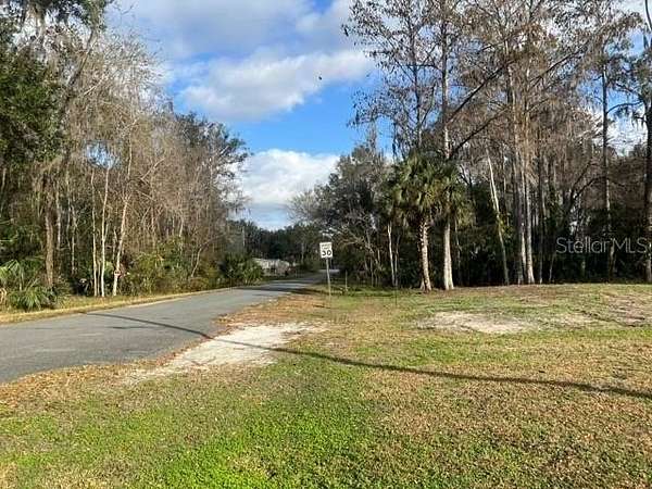 0.2 Acres of Residential Land for Sale in Lake Panasoffkee, Florida
