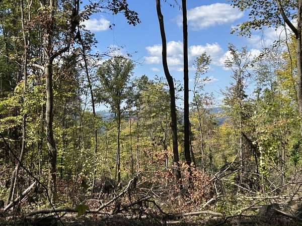 10 Acres of Residential Land for Sale in Terra Alta, West Virginia