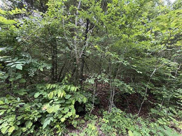 5.76 Acres of Residential Land for Sale in Horseshoe Bend, Arkansas