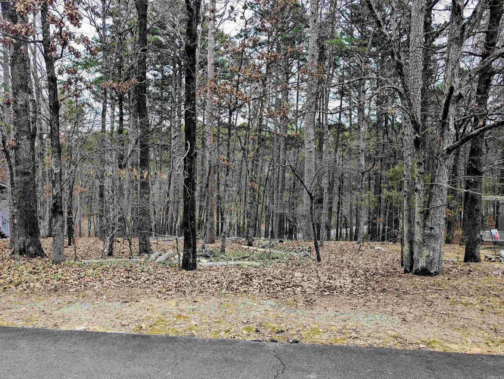 0.24 Acres of Residential Land for Sale in Hot Springs Village, Arkansas