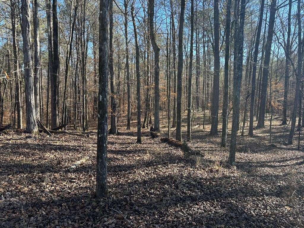 38.5 Acres of Recreational Land for Sale in Talbotton, Georgia