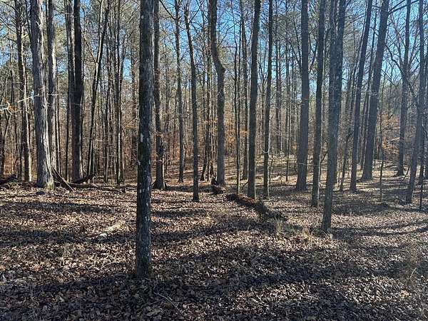 38.5 Acres of Recreational Land for Sale in Talbotton, Georgia