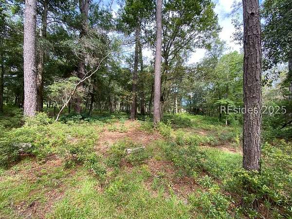 Residential Land for Sale in Daufuskie Island, South Carolina