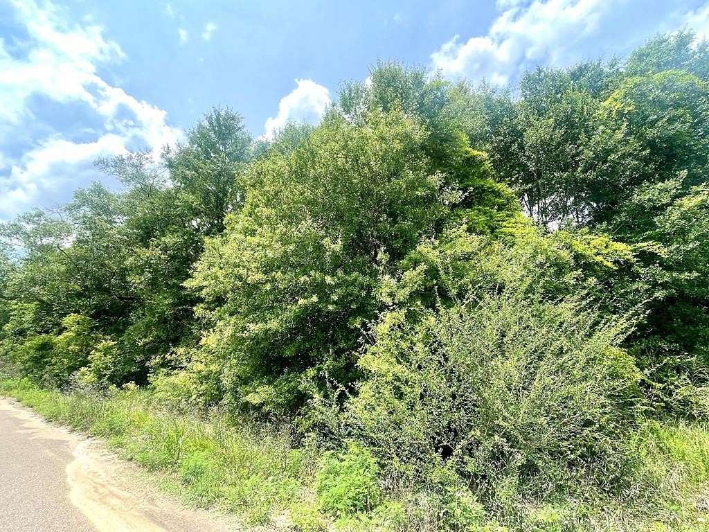 1 Acre of Residential Land for Sale in Poplarville, Mississippi