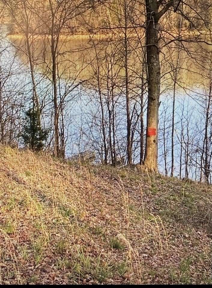 0.21 Acres of Residential Land for Sale in Bee Spring, Kentucky