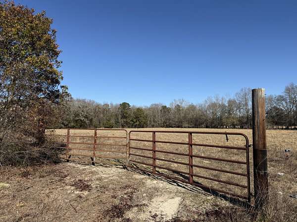 37.9 Acres of Land for Sale in Manning, South Carolina