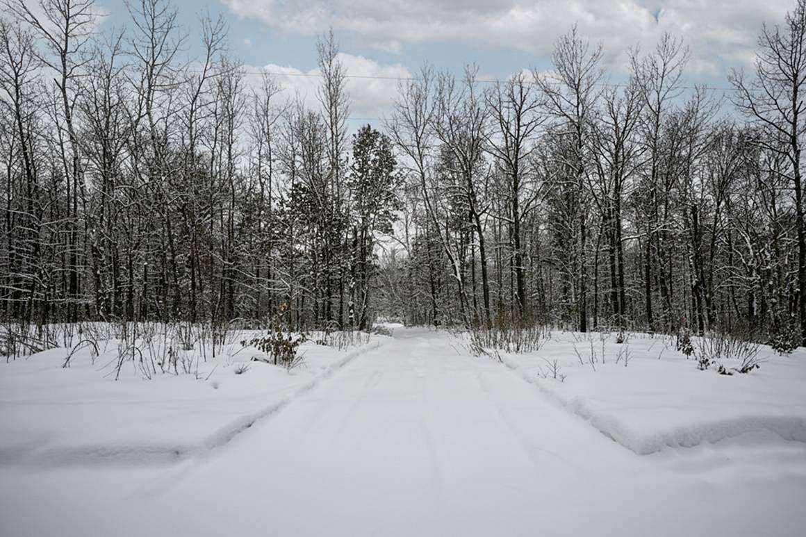 2 Acres of Land for Sale in Trego, Wisconsin