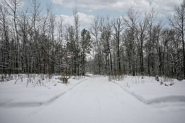 2 Acres of Land for Sale in Trego, Wisconsin