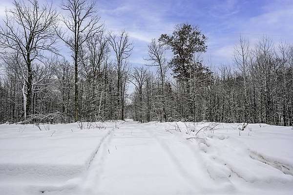 2 Acres of Land for Sale in Trego, Wisconsin