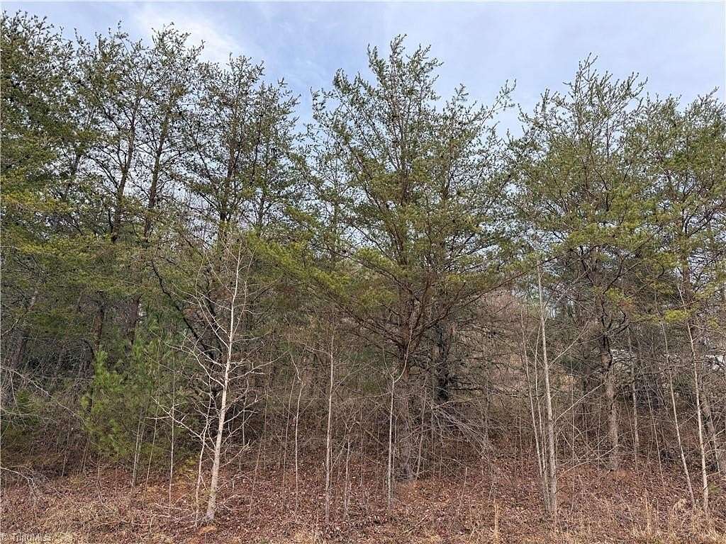 11.6 Acres of Land for Sale in Ferguson, North Carolina