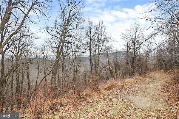 21.1 Acres of Recreational Land for Sale in Star Tannery, Virginia