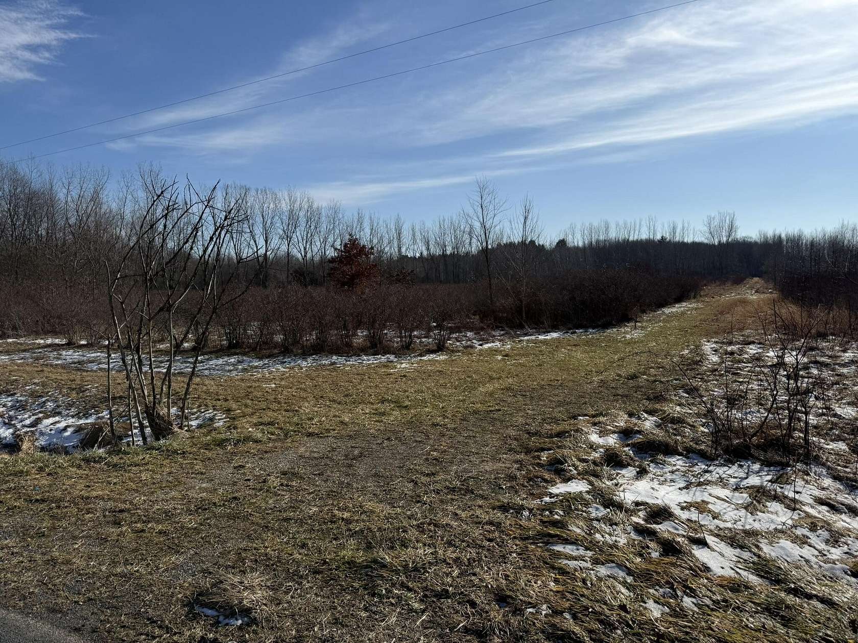 20 Acres of Recreational Land for Sale in Bangor, Michigan