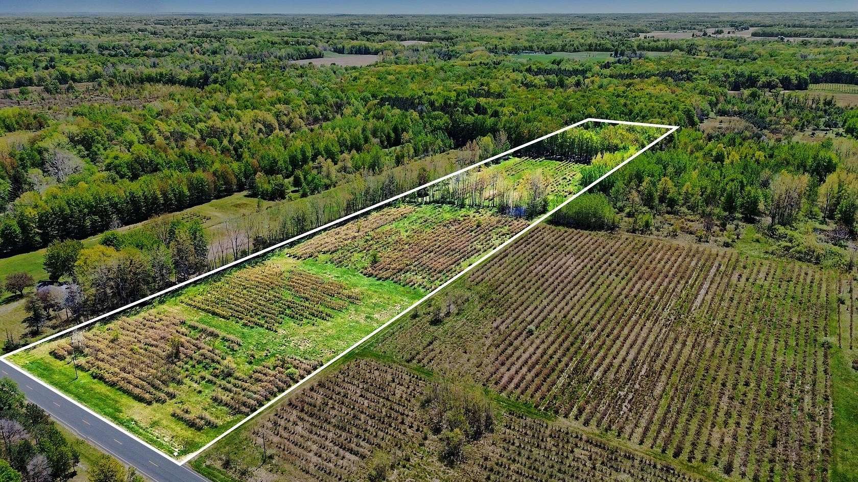 20 Acres of Recreational Land for Sale in Bangor, Michigan