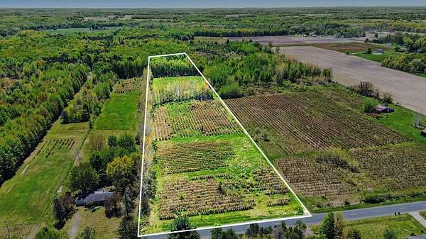 20 Acres of Recreational Land for Sale in Bangor, Michigan