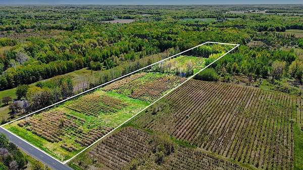 20 Acres of Recreational Land for Sale in Bangor, Michigan