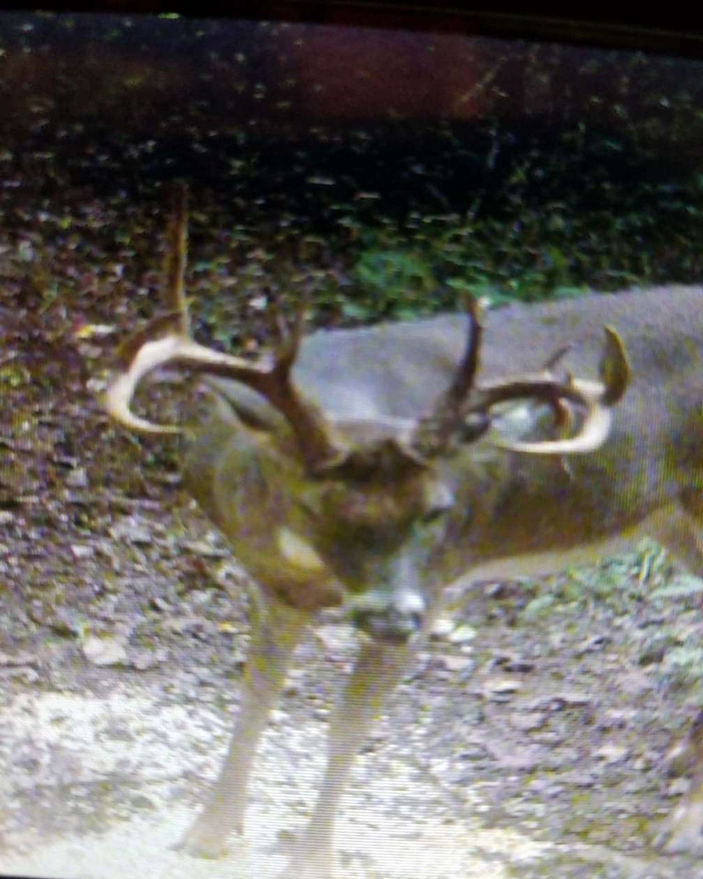 10 Acres of Recreational Land for Sale in Crown City, Ohio