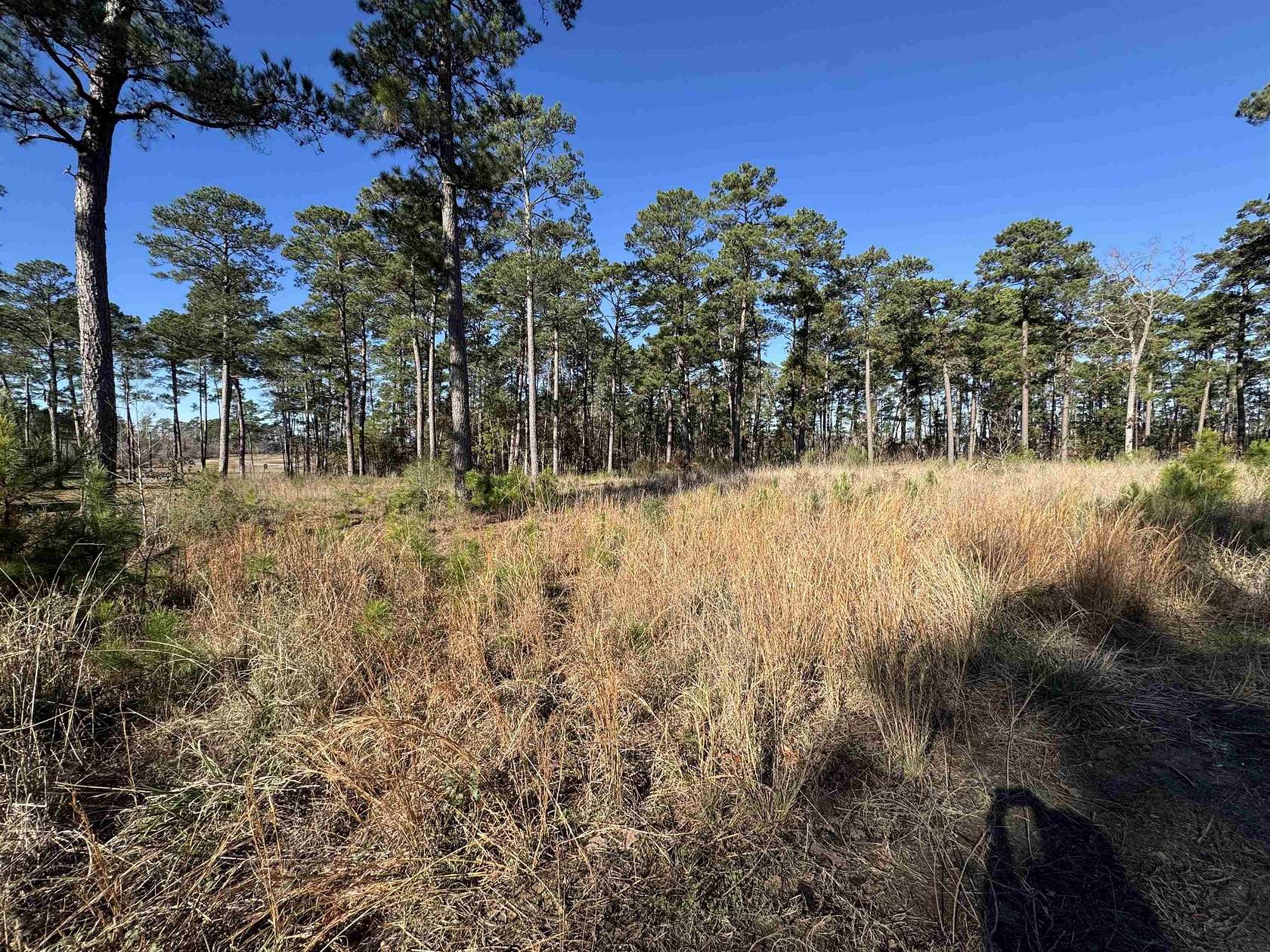 1.1 Acres of Residential Land for Sale in Brookeland, Texas