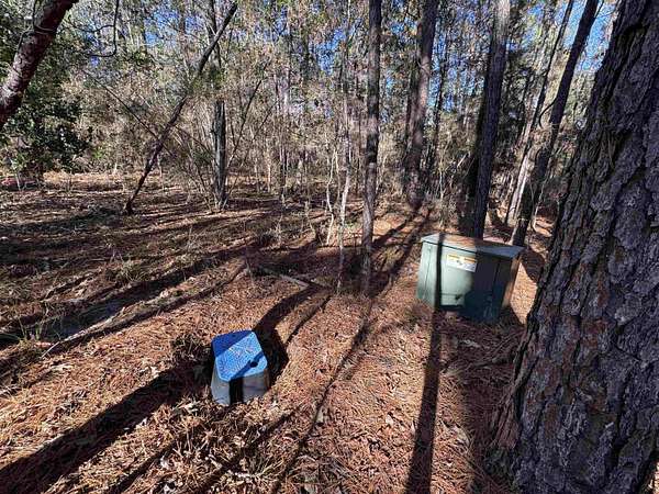 0.37 Acres of Residential Land for Sale in Brookeland, Texas