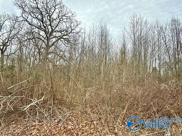 0.5 Acres of Residential Land for Sale in Toney, Alabama