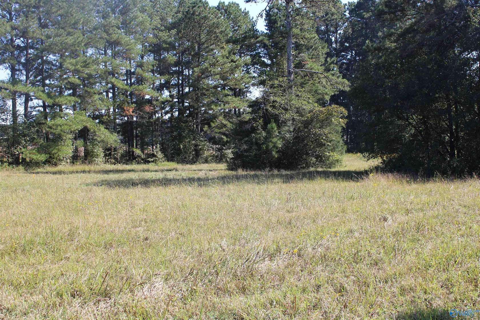 1.64 Acres of Land for Sale in Elkmont, Alabama