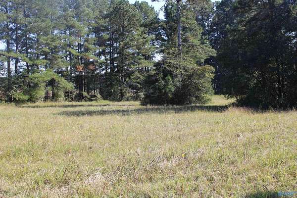 1.64 Acres of Land for Sale in Elkmont, Alabama