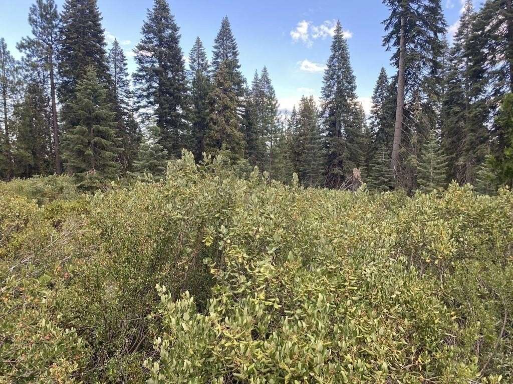 2.5 Acres of Residential Land for Sale in McCloud, California