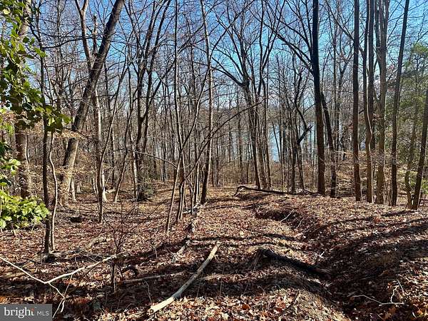 20.3 Acres of Land for Sale in Port Tobacco, Maryland