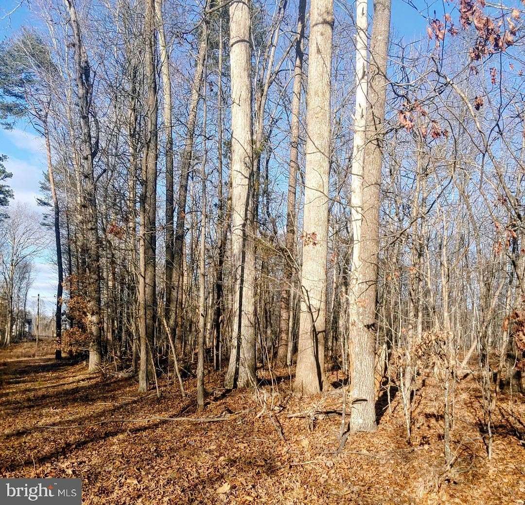 5 Acres of Residential Land for Sale in Culpeper, Virginia