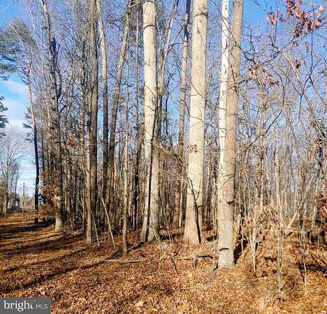 5 Acres of Residential Land for Sale in Culpeper, Virginia