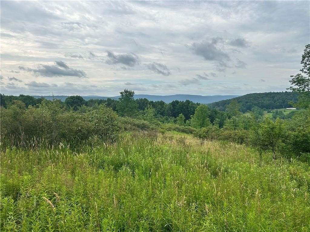 10.3 Acres of Land for Sale in Unadilla, New York