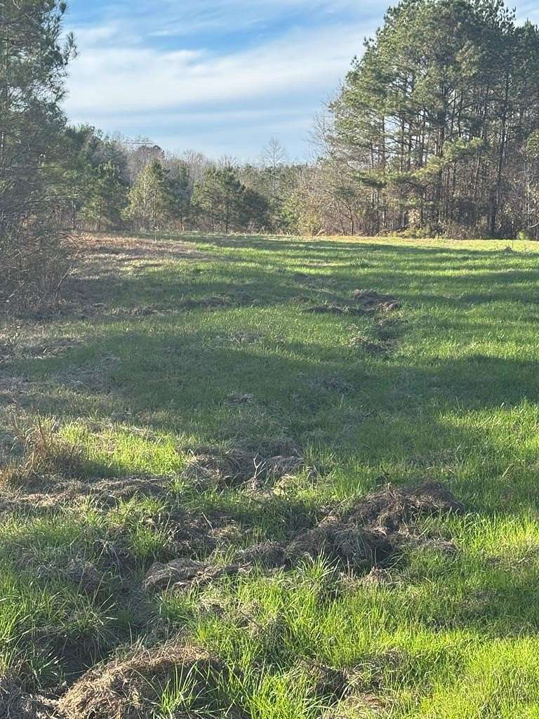 45 Acres of Recreational Land for Sale in Troy, Alabama