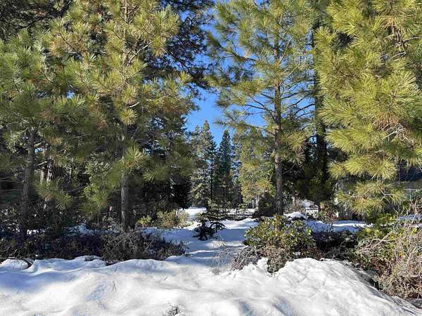 0.3 Acres of Residential Land for Sale in Lake Almanor Peninsula, California